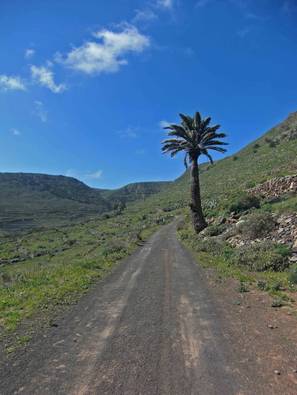Mountainbike, Bike, Triathlon, Ironman, Lanzarote, Meer, Sonne, Urlaub, Hochleistungssport, Trainingsprogramm, Laufen, Schwimmen, Baden, Sand, Puerto del Carmen, La Santa, Sportclub, Sporthotel,