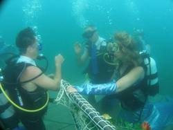 Tauchhochzeit, Unterwasserhochzeit, Lanzarote, Tauchen, Fische, Angeln